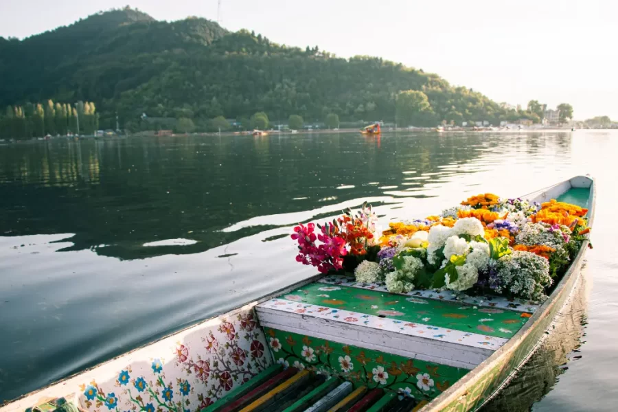 Kashmir - Rare Palatial Getaway