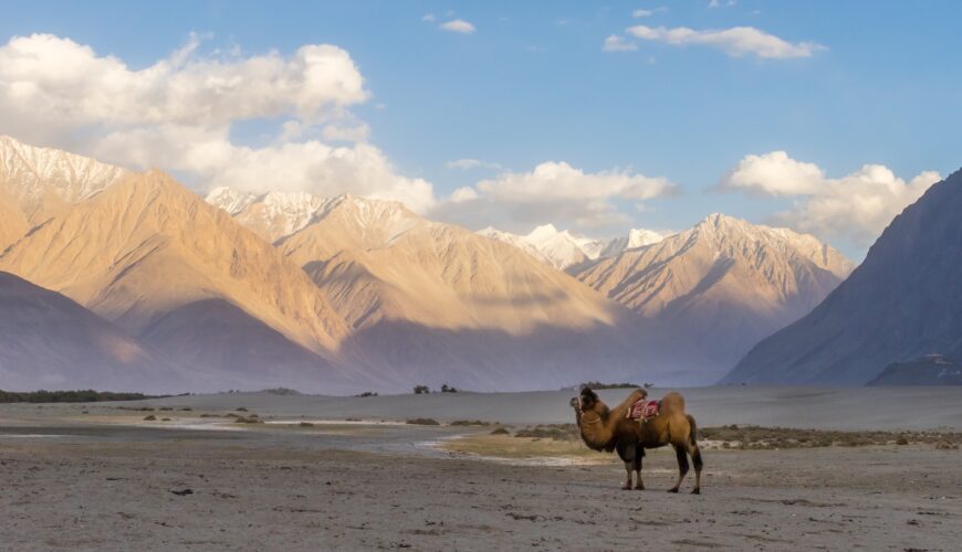 How many days it takes for Ladakh bike trip