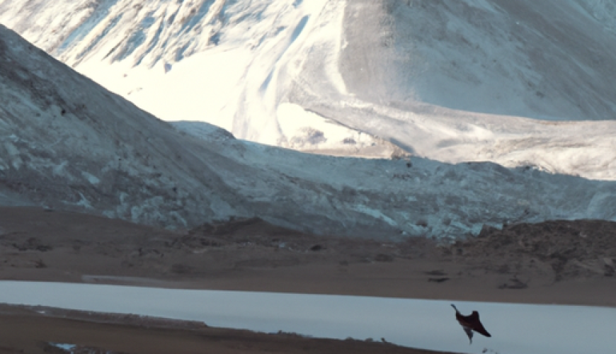 Walking on Ice and Other Crazy Adventures That Await You in Ladakh