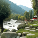 Kashmir Honeymoon: A Journey Closer to Nature and Each Other